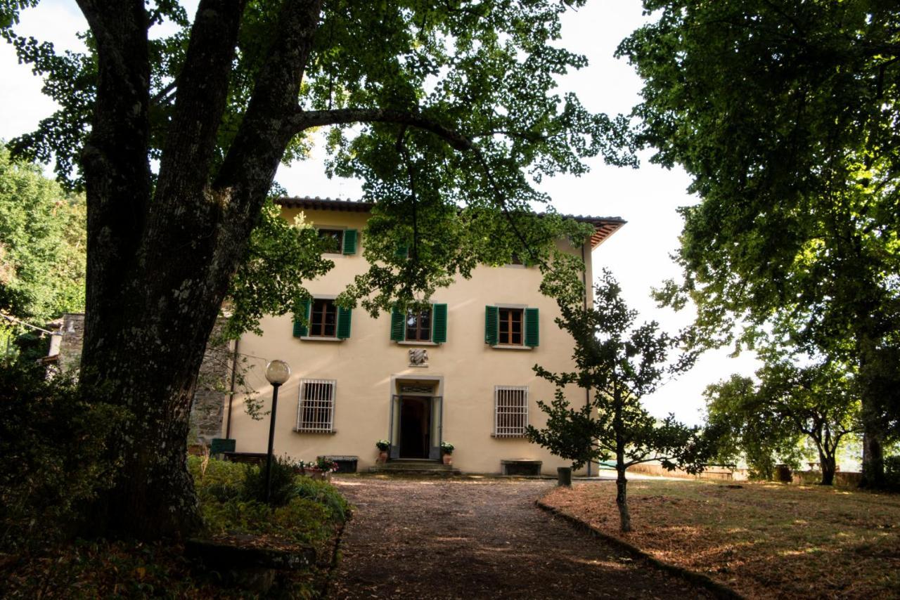 Fattoria Di Caticciano, Elegante Affittacamere Relax E Natura Vicino Firenze Pelago Zewnętrze zdjęcie