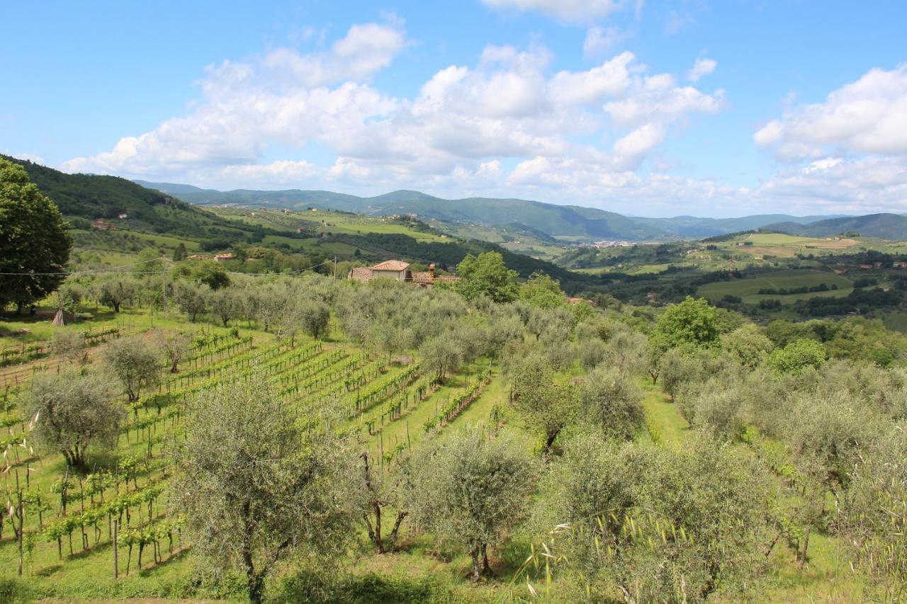 Fattoria Di Caticciano, Elegante Affittacamere Relax E Natura Vicino Firenze Pelago Zewnętrze zdjęcie
